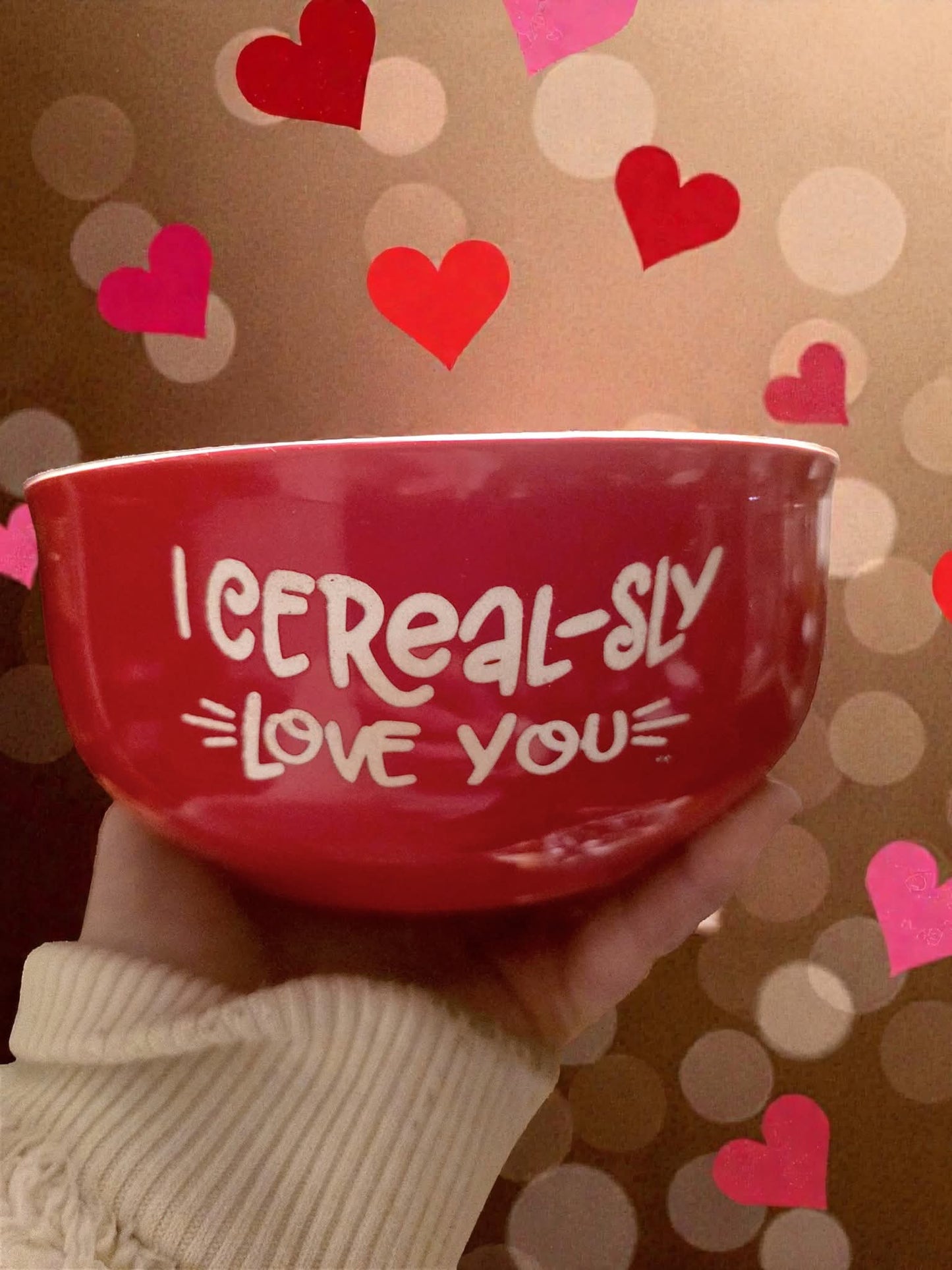 Cereal Bowl, I Cerealsly Love You Bowl, I Cerealsly Like You, Cereal-sly, Stoneware Fun Gift
