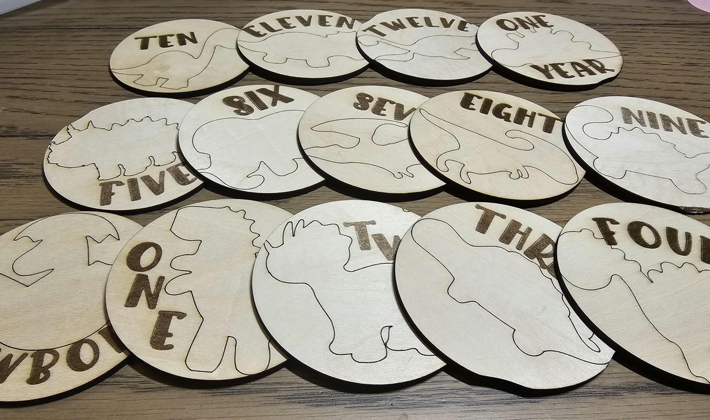 Dinosaur Theme Babies First Year Monthly Milestones, Engraved Wooden Dinosaur Themed Photo Prop Newborn to 1 Year