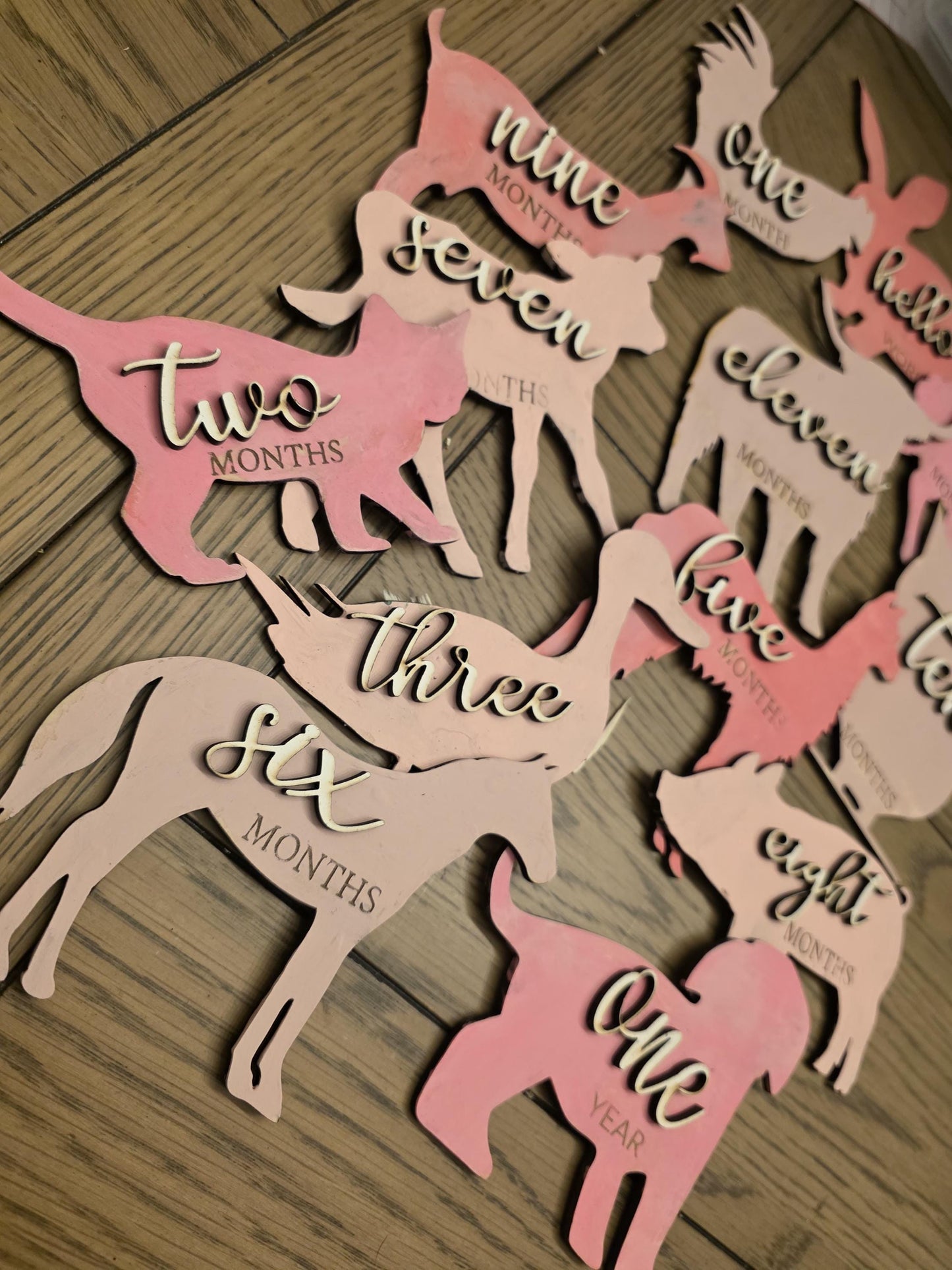 Farm Animal Shaped Monthly Milestones, 3D Wooden photo props Newborn to 1 Year - Pick any 3 colors