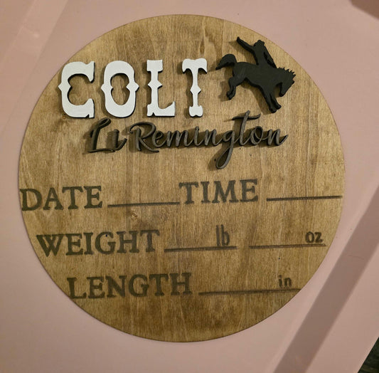 3D Baby Stats Sign Personalized Nursery Decor 12 Inch Western Rustic Newborn Birth Details Baby Announcement Wall Art Keepsake Gift