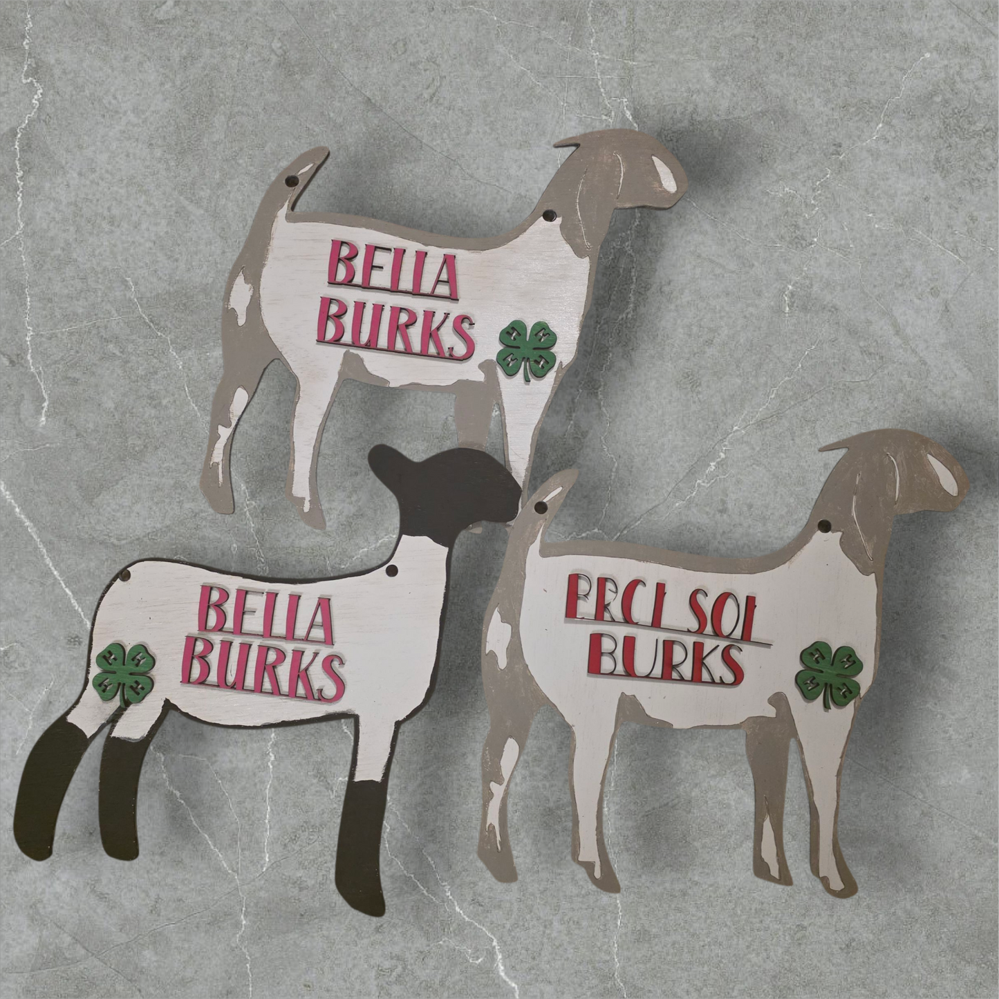 Custom 4-H Livestock Show Sign - Personalized Fair Display