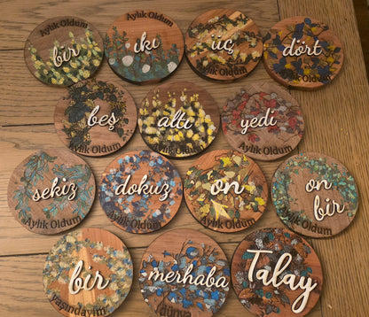 Vines and Leaves unisex Baby Milestone Discs: 3D Wooden Photo Props
