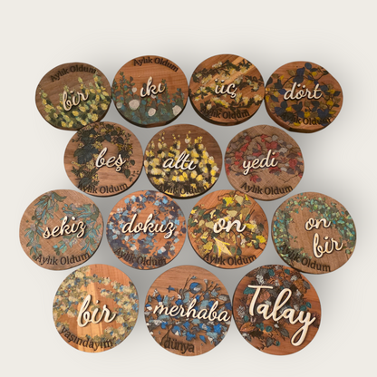 Vines and Leaves unisex Baby Milestone Discs: 3D Wooden Photo Props