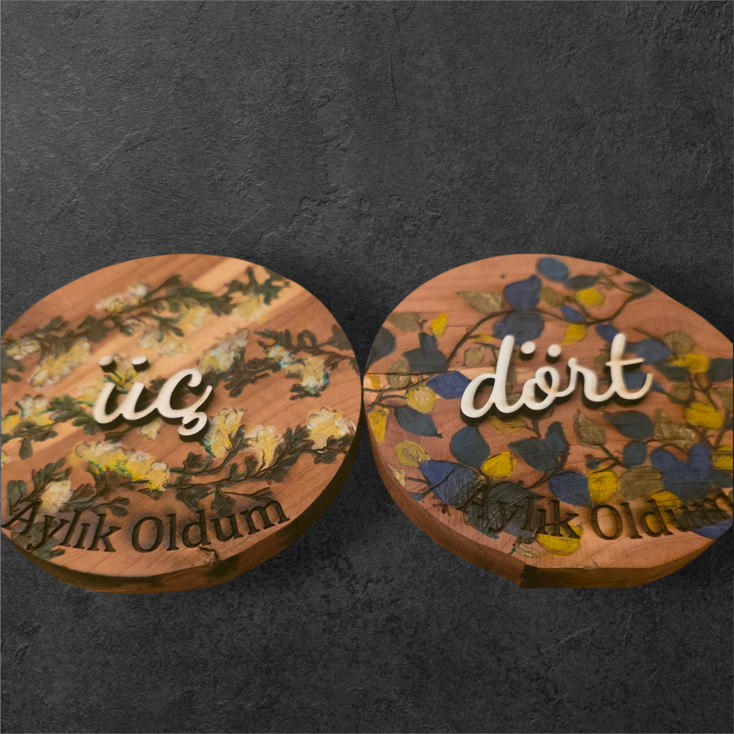 Vines and Leaves unisex Baby Milestone Discs: 3D Wooden Photo Props