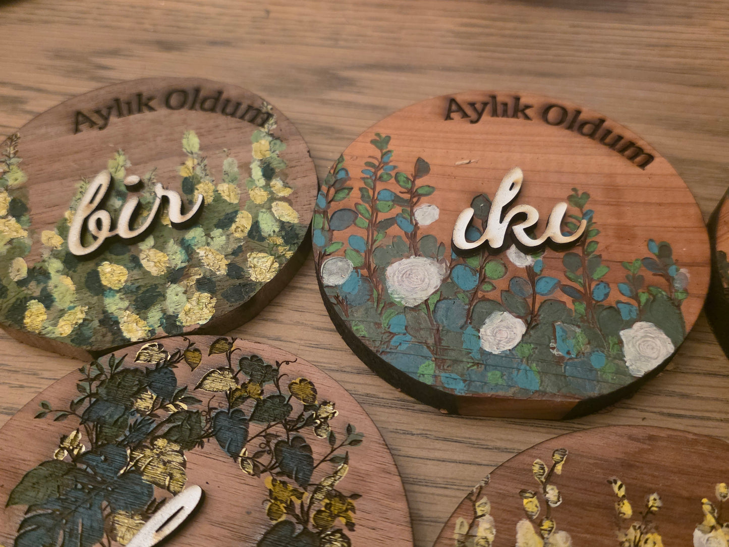 Vines and Leaves unisex Baby Milestone Discs: 3D Wooden Photo Props
