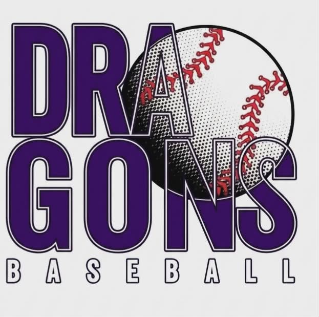 Dragons Baseball Shirt | Team Spirit Tee | Purple Baseball Fan Shirt | Game Day Shirt | Dragons Baseball Apparel