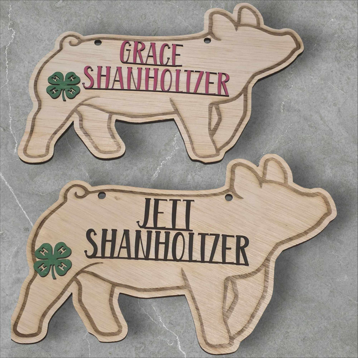Custom 4-H Livestock Show Sign - Personalized Fair Display