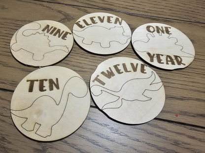 Dinosaur Theme Babies First Year Monthly Milestones, Engraved  Wooden Dinosaur Themed Photo Prop Newborn to 1 Year
