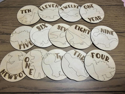 Dinosaur Theme Babies First Year Monthly Milestones, Engraved  Wooden Dinosaur Themed Photo Prop Newborn to 1 Year