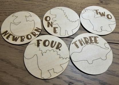 Dinosaur Theme Babies First Year Monthly Milestones, Engraved  Wooden Dinosaur Themed Photo Prop Newborn to 1 Year