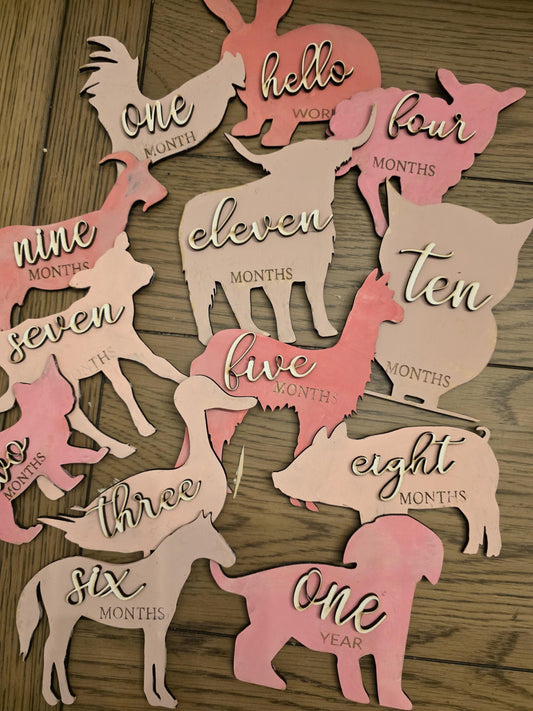 Farm Animal Shaped Monthly Milestones, 3D Wooden photo props Newborn to 1 Year - Pick any 3 colors